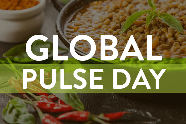 Happy Global Pulse Day!